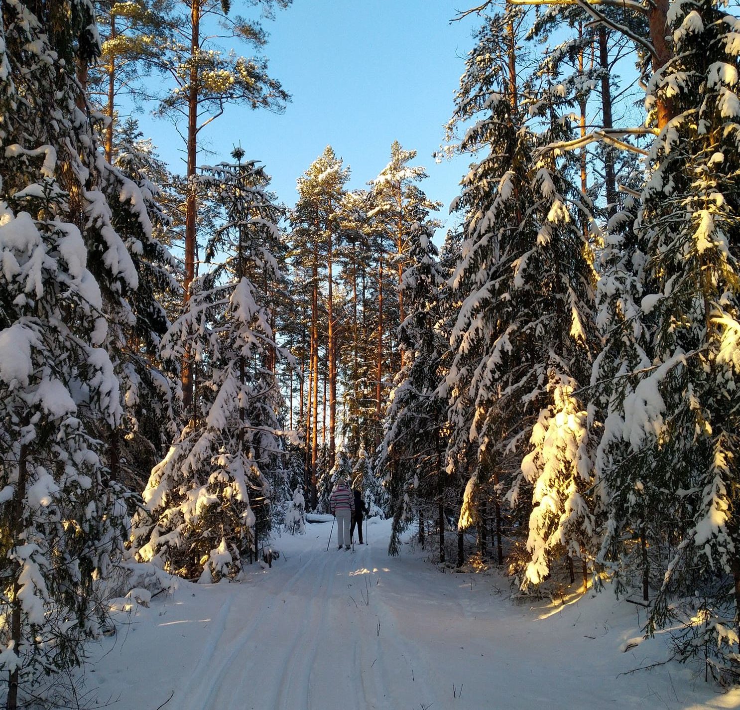 Pelkoon auttaa vain rakkaus