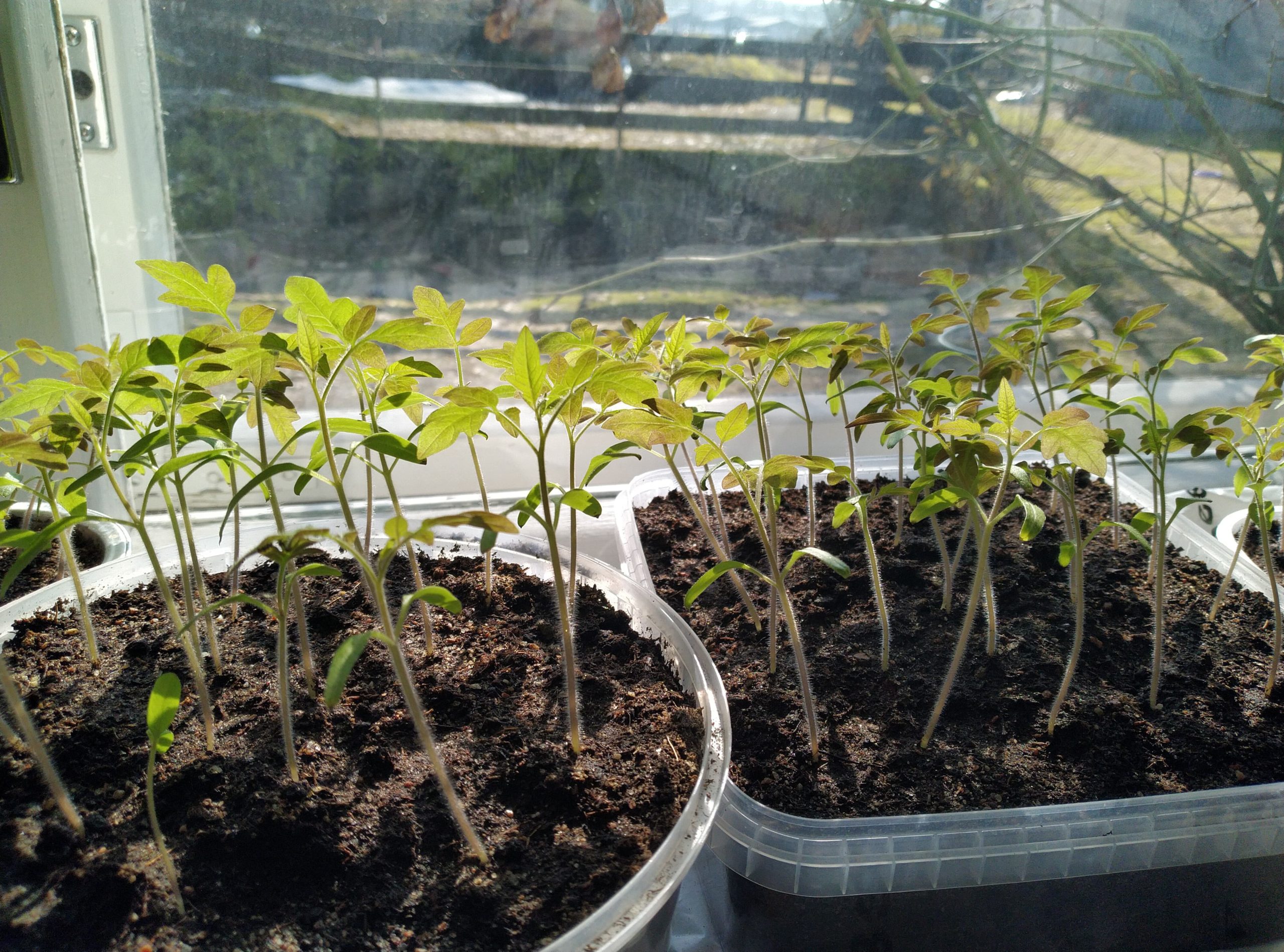 Lepoviikonloppu Merimaskussa 9.-11.5.2025