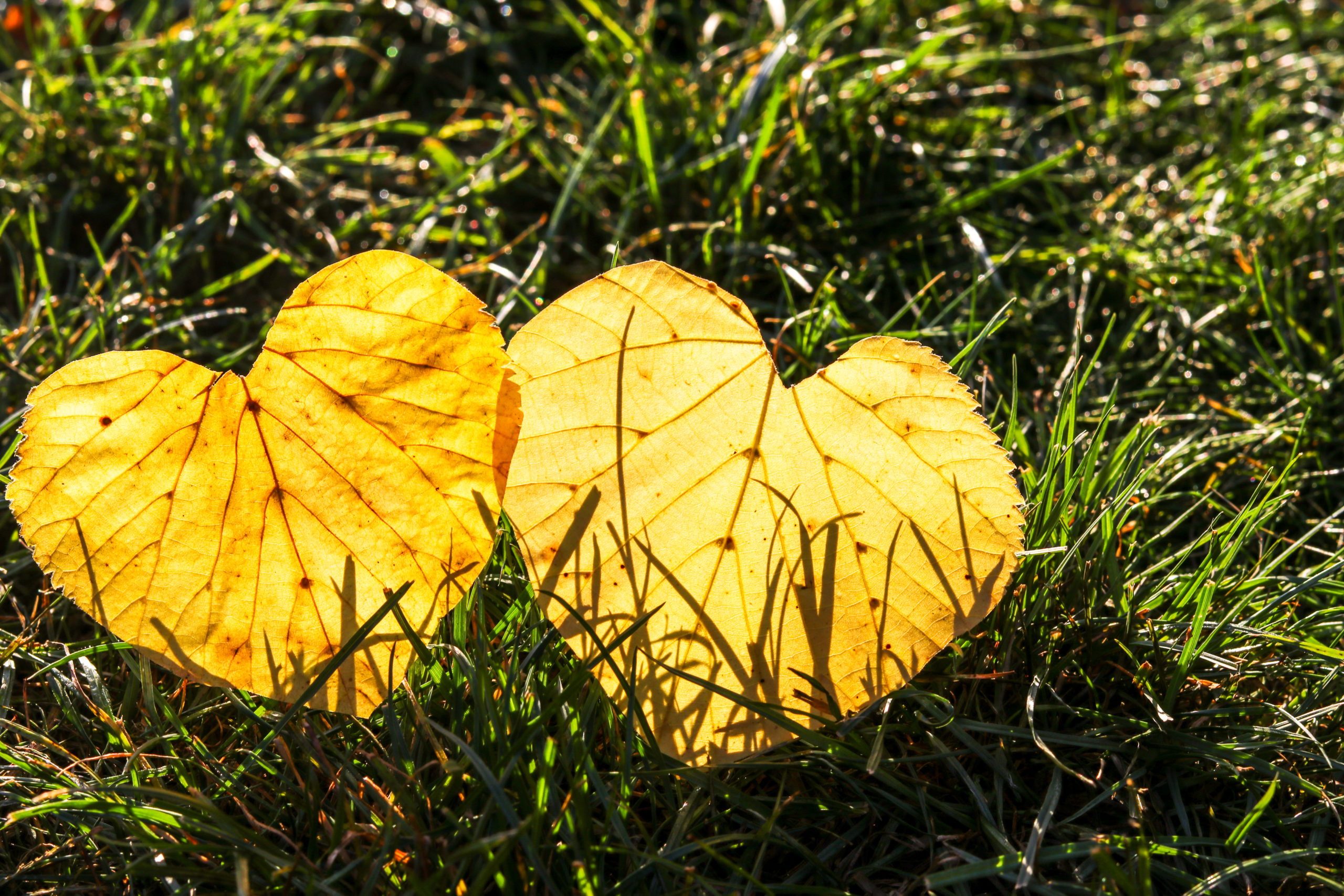 Lepoviikonloppu 16.-18.9.2022