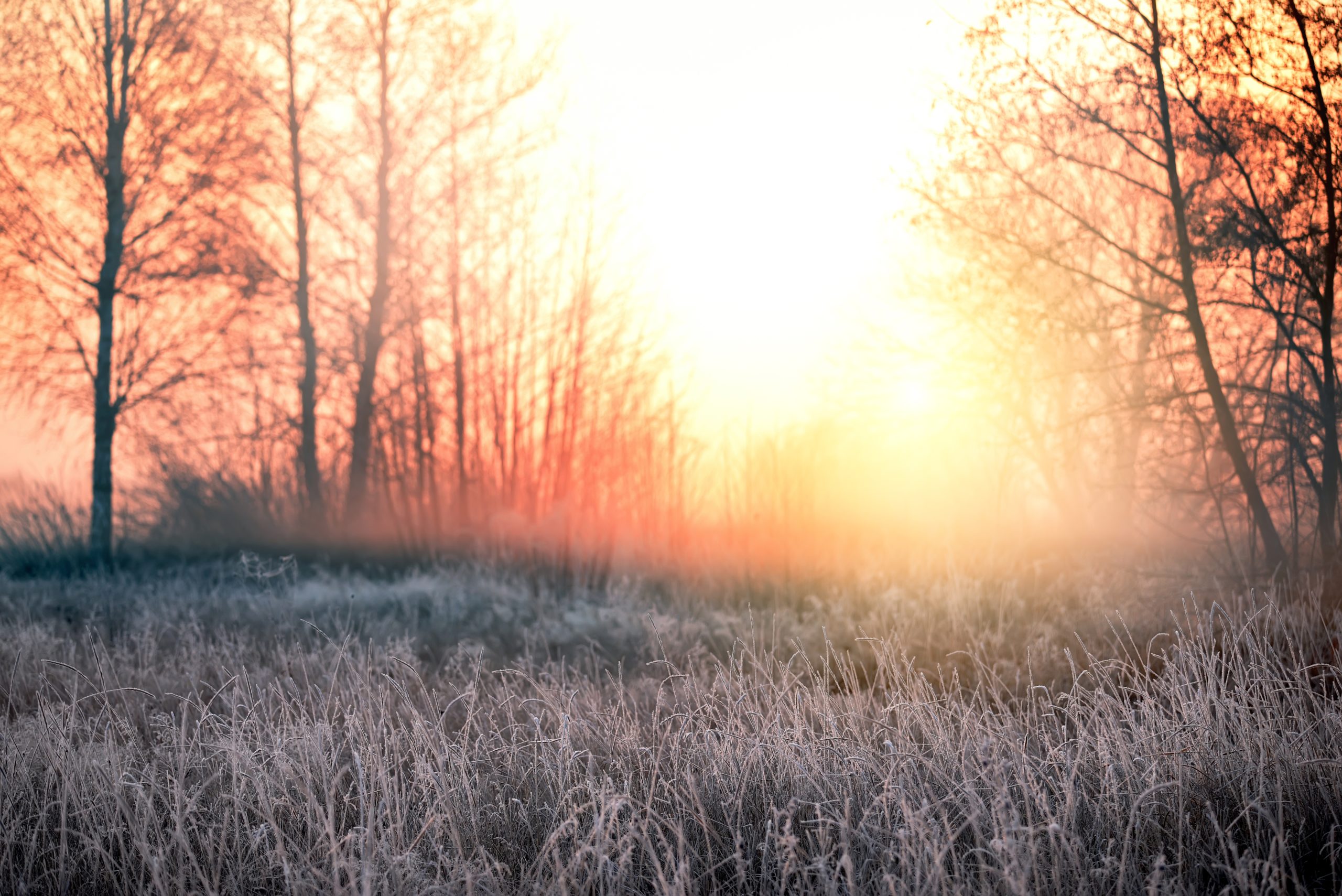 Täydellinen ja keskeneräinen