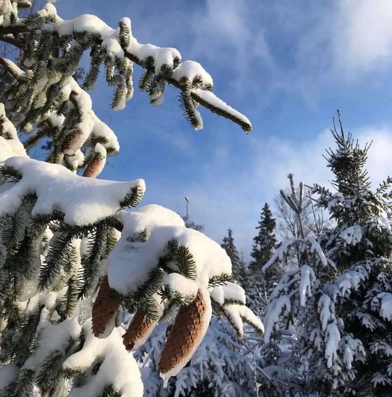 Pelon kätkemät mahdollisuudet