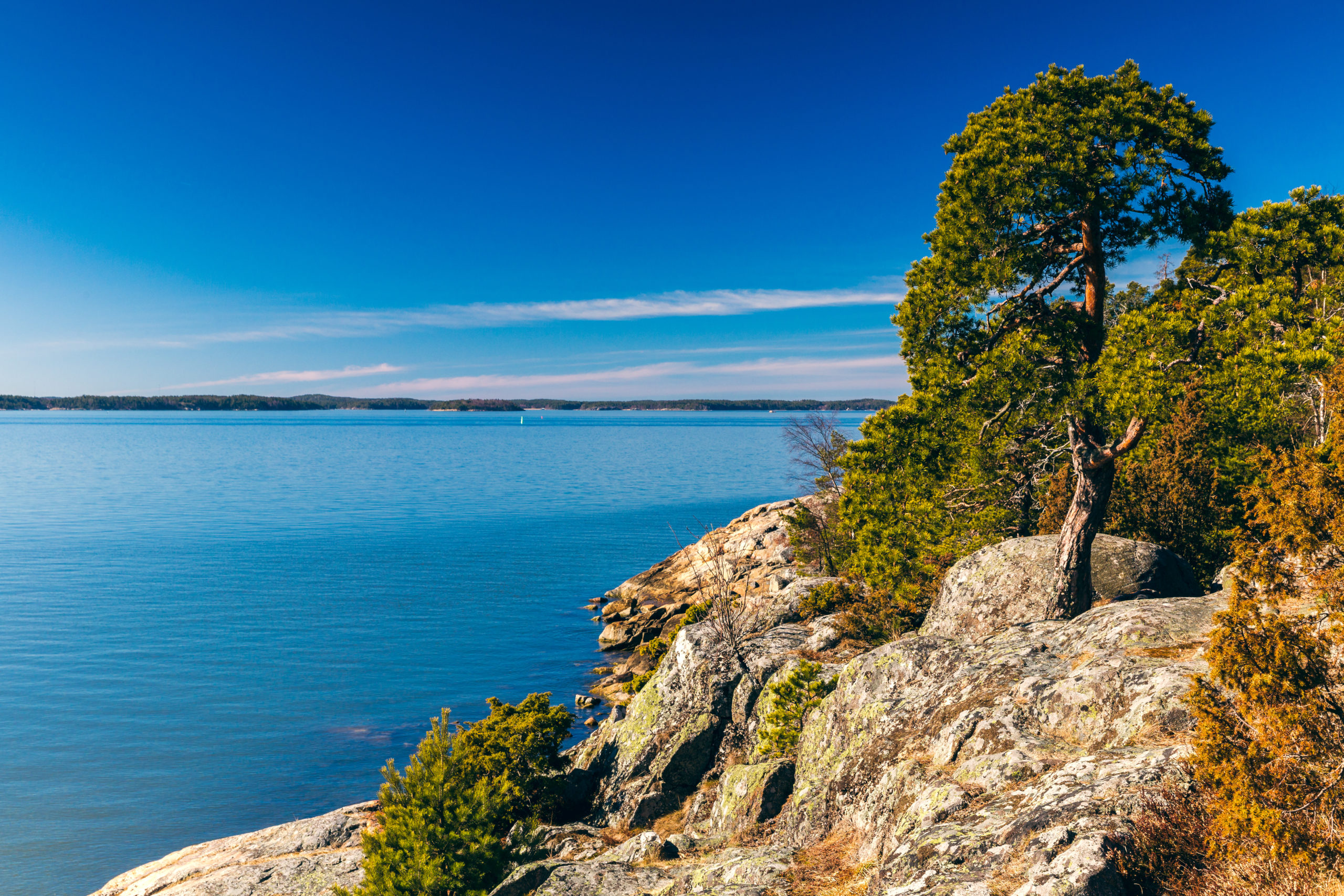 Vahvistukaa Herrassa